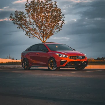 Key Elements That Define the Best Lighting Setup